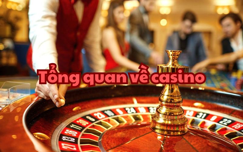 Tổng quan về casino