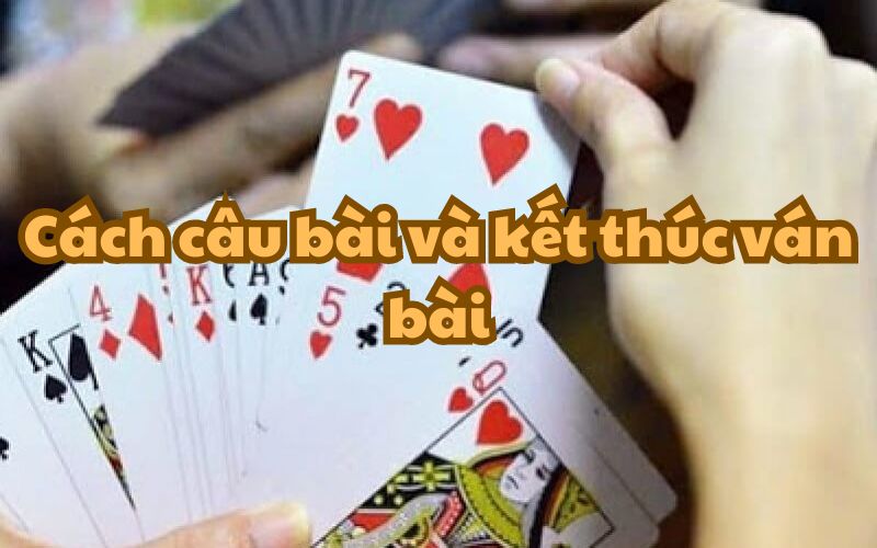 Thủ thuật câu bài và kết thúc ván bài