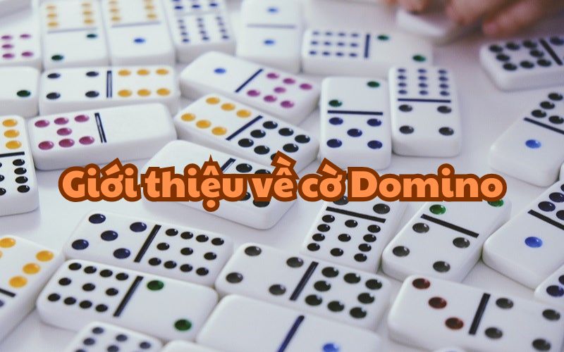 Giới thiệu về cờ Domino