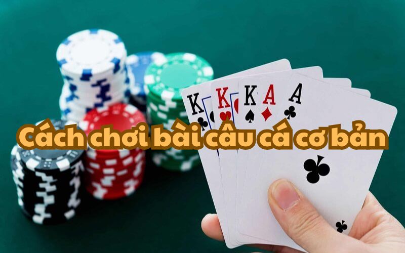 Hướng dẫn cách chơi bài câu cá cơ bản