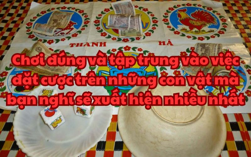 Chơi đúng và tập trung vào việc đặt cược trên những con vật xuất hiện nhiều nhất